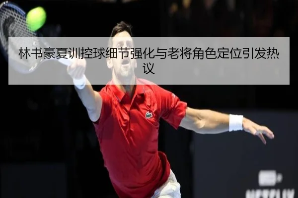林书豪夏训控球细节强化与老将角色定位引发热议