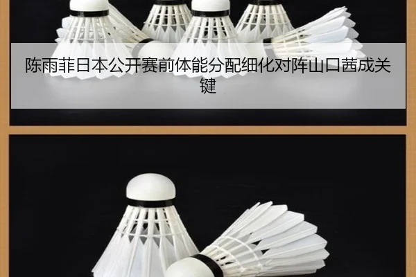 陈雨菲日本公开赛前体能分配细化对阵山口茜成关键