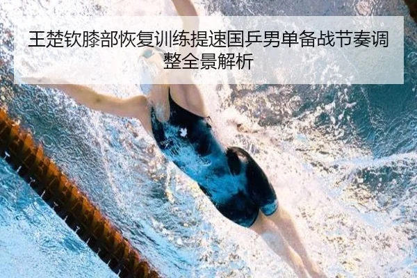 王楚钦膝部恢复训练提速国乒男单备战节奏调整全景解析