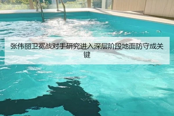 张伟丽卫冕战对手研究进入深层阶段地面防守成关键